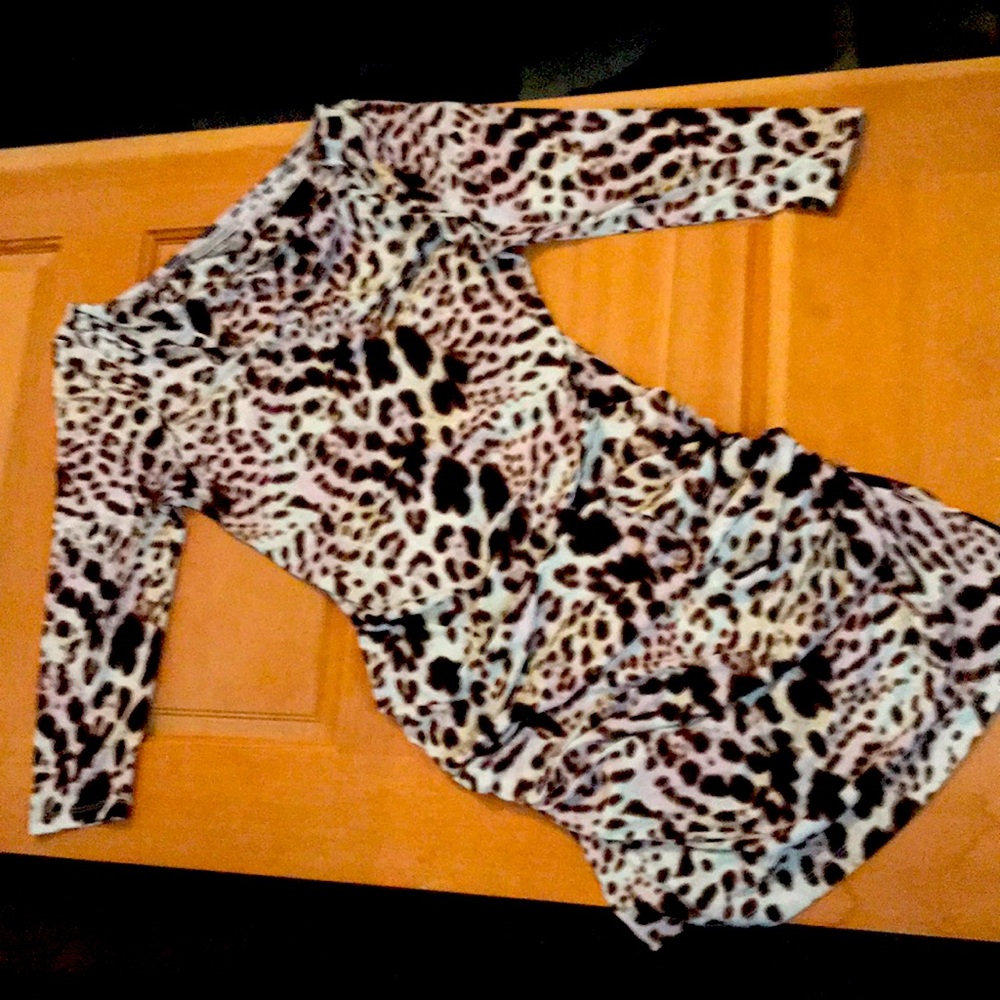 A cute fitted animal print dress